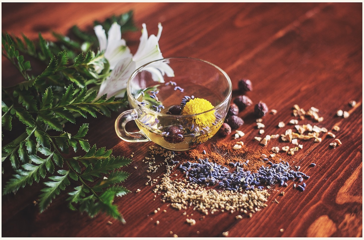 Personalized Health: Tailoring Herbal Remedies to You